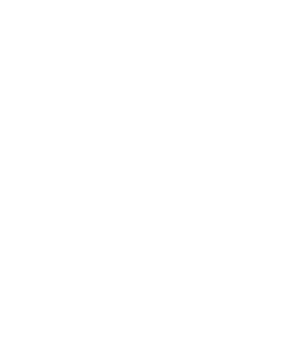 Link Software LLC